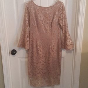 misses lace dresses